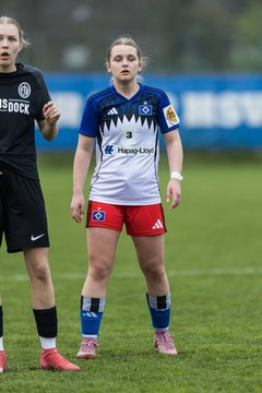 Bild 198 - wBJ Hamburger SV - Eimsbuettler TV : Ergebnis: 4:0